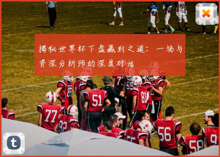 揭秘世界杯下盘赢利之道：一场与资深分析师的深度对话