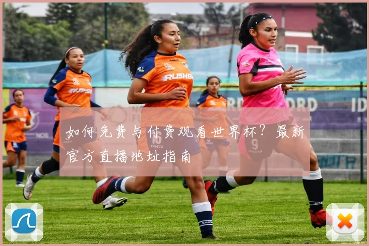 如何免费与付费观看世界杯？最新官方直播地址指南
