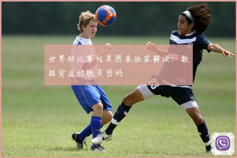世界杯比赛结果图表独家解读:数据背后的胜负密码