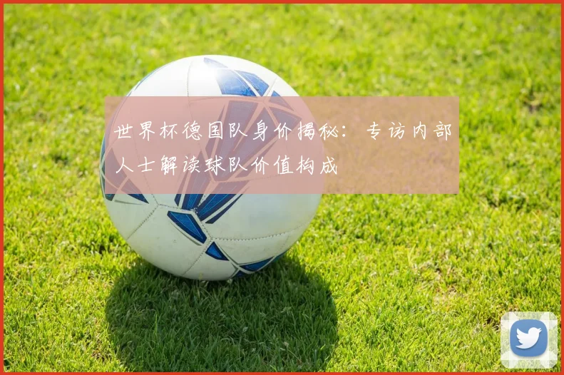 世界杯德国队身价揭秘：专访内部人士解读球队价值构成