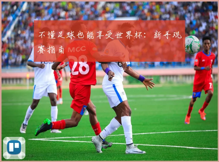 不懂足球也能享受世界杯：新手观赛指南