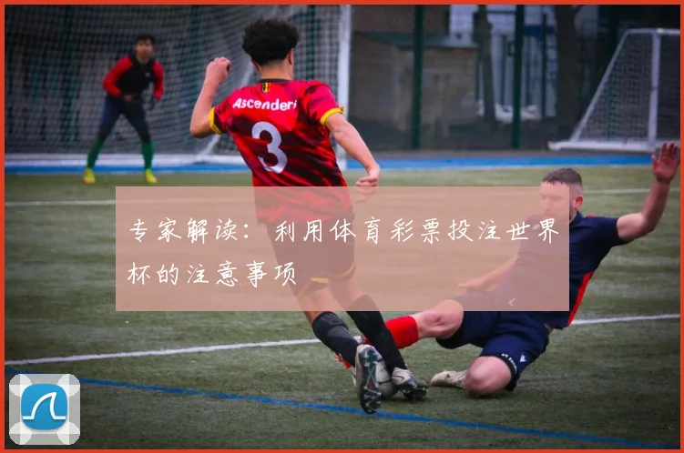 专家解读：利用体育彩票投注世界杯的注意事项