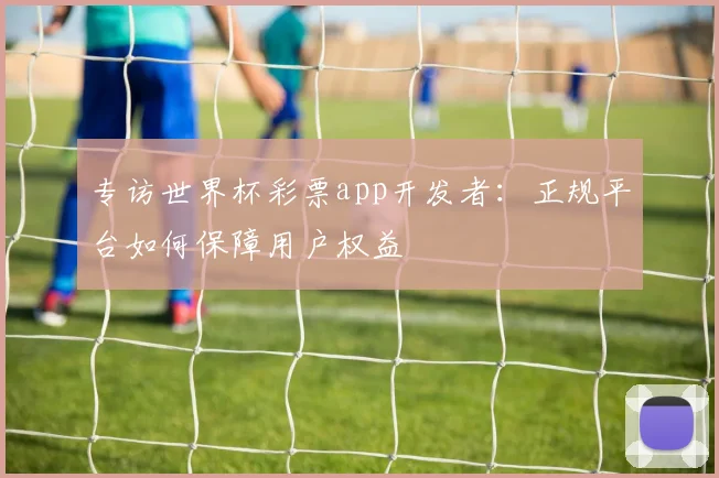 专访世界杯彩票app开发者：正规平台如何保障用户权益