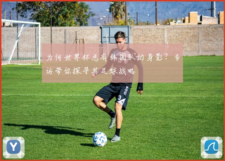 为何世界杯总有韩国队的身影？专访带你探寻其足球战略