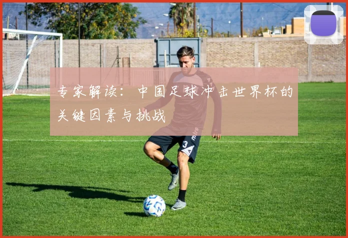 专家解读：中国足球冲击世界杯的关键因素与挑战