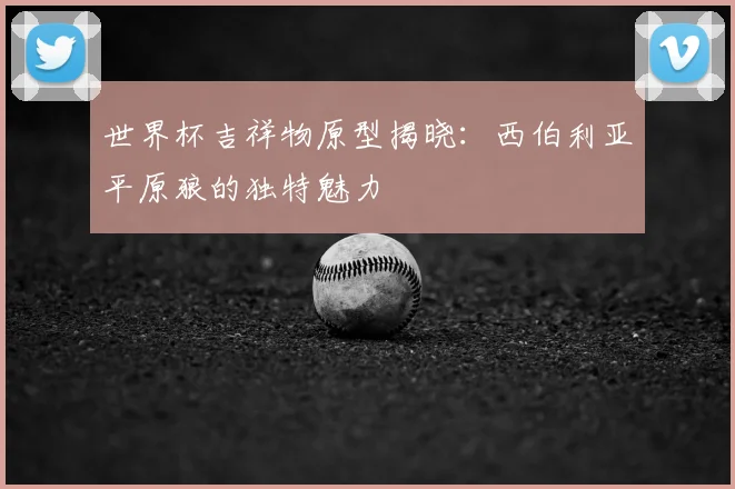 世界杯吉祥物原型揭晓：西伯利亚平原狼的独特魅力