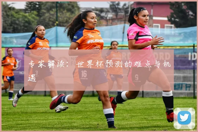 专家解读：世界杯预测的难点与机遇
