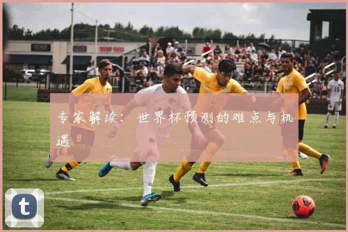 专家解读：世界杯预测的难点与机遇