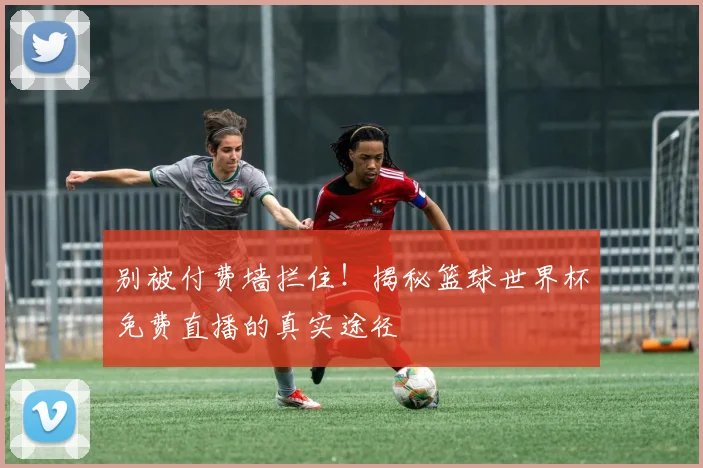 别被付费墙拦住！揭秘篮球世界杯免费直播的真实途径