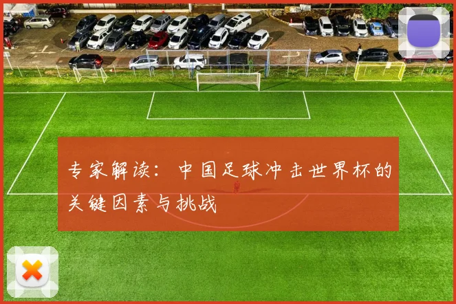 专家解读：中国足球冲击世界杯的关键因素与挑战